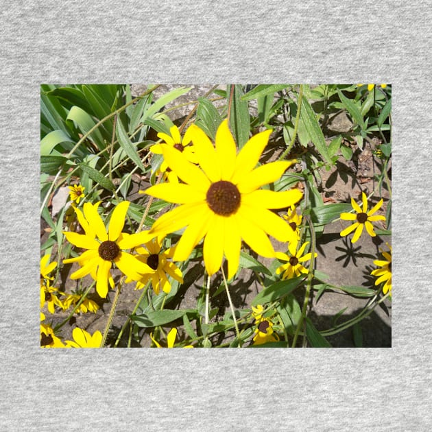 Yellow daisy by Jujucreation